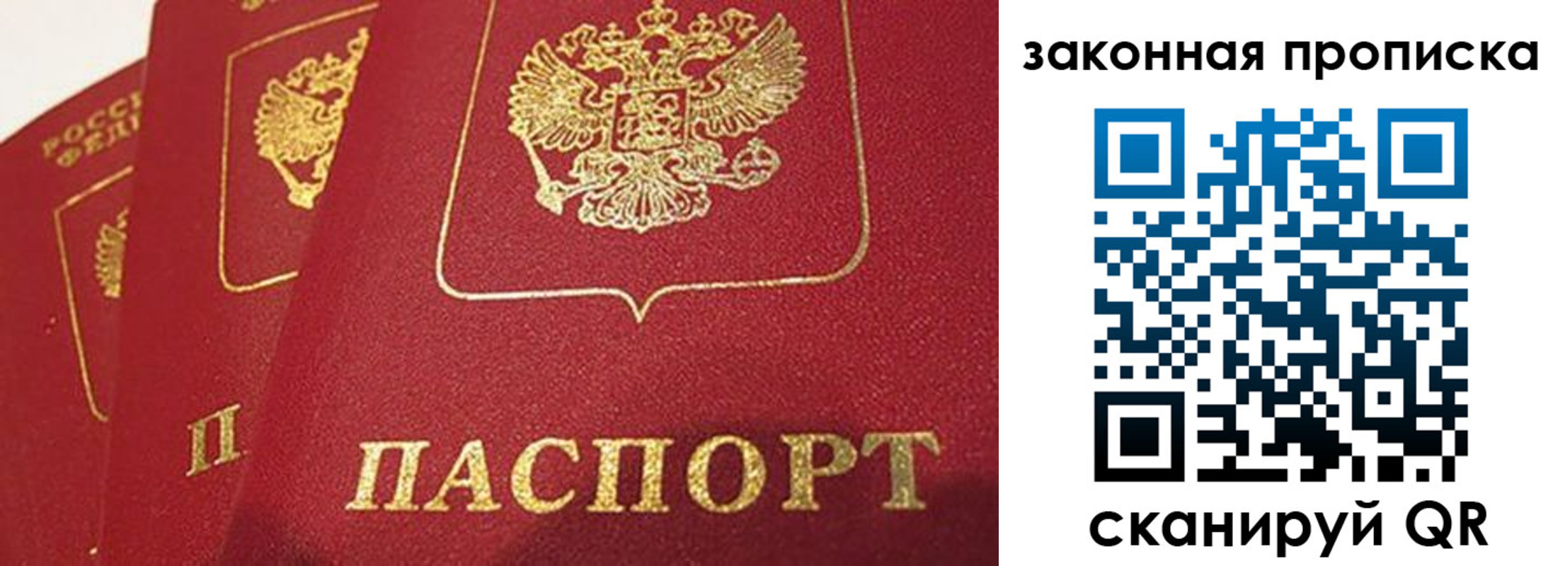 прописка гарантия в Брянске